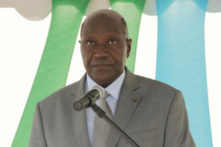 Le Premier ministre intronisé roi des N’Zima avec nom de règne 